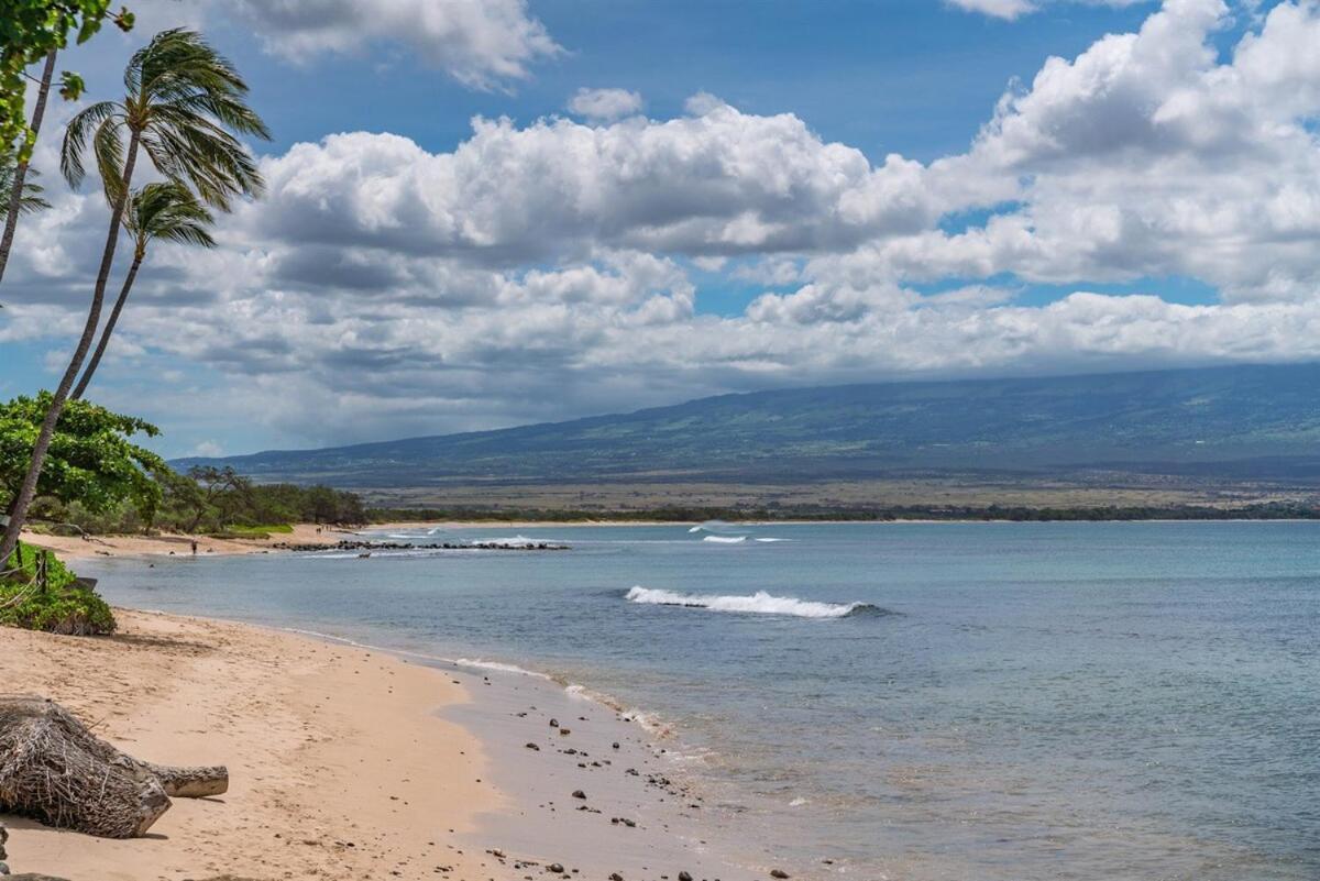 Direct Oceanfront—Fully Remodeled—Sleeps 6 Villa Wailuku Exterior foto